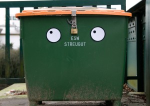 Streuaugen