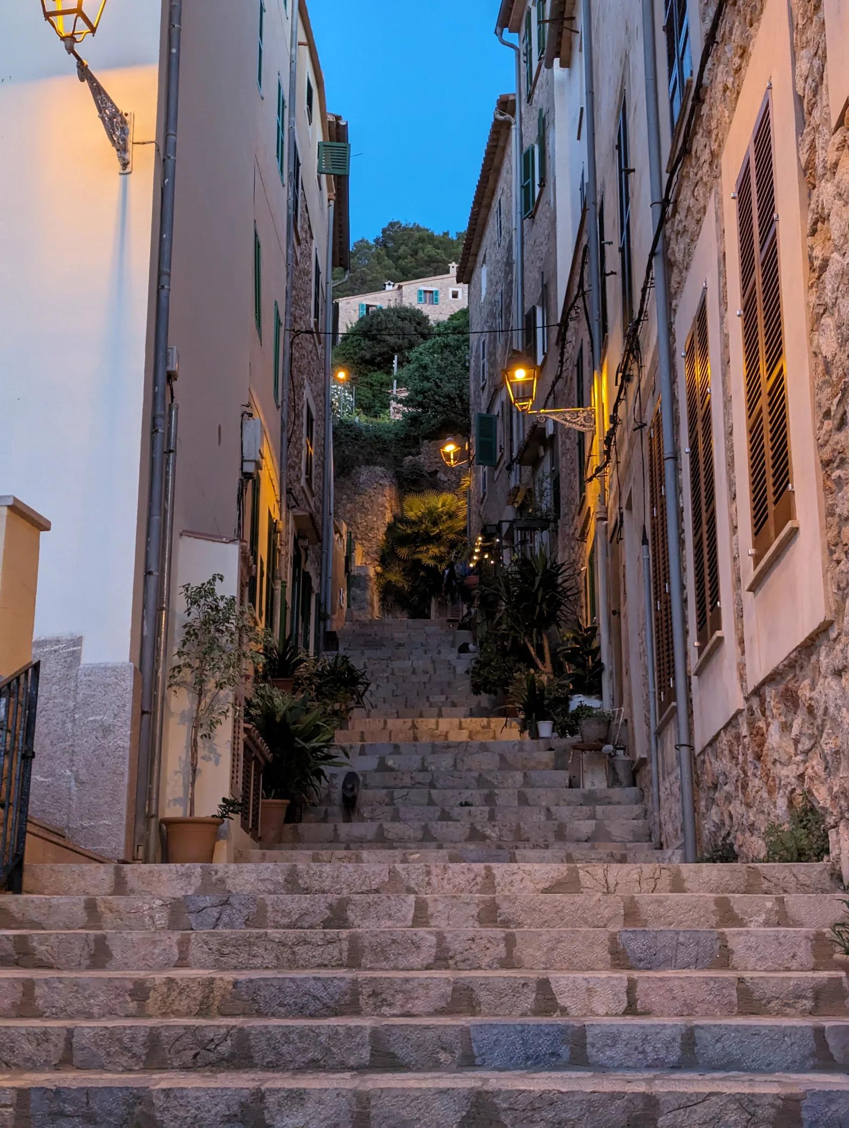 Mallorca_Banyalbufar_04