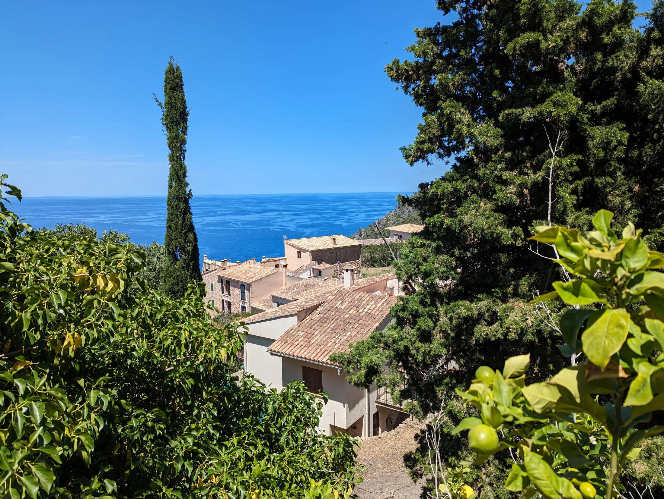 Mallorca_Banyalbufar_05