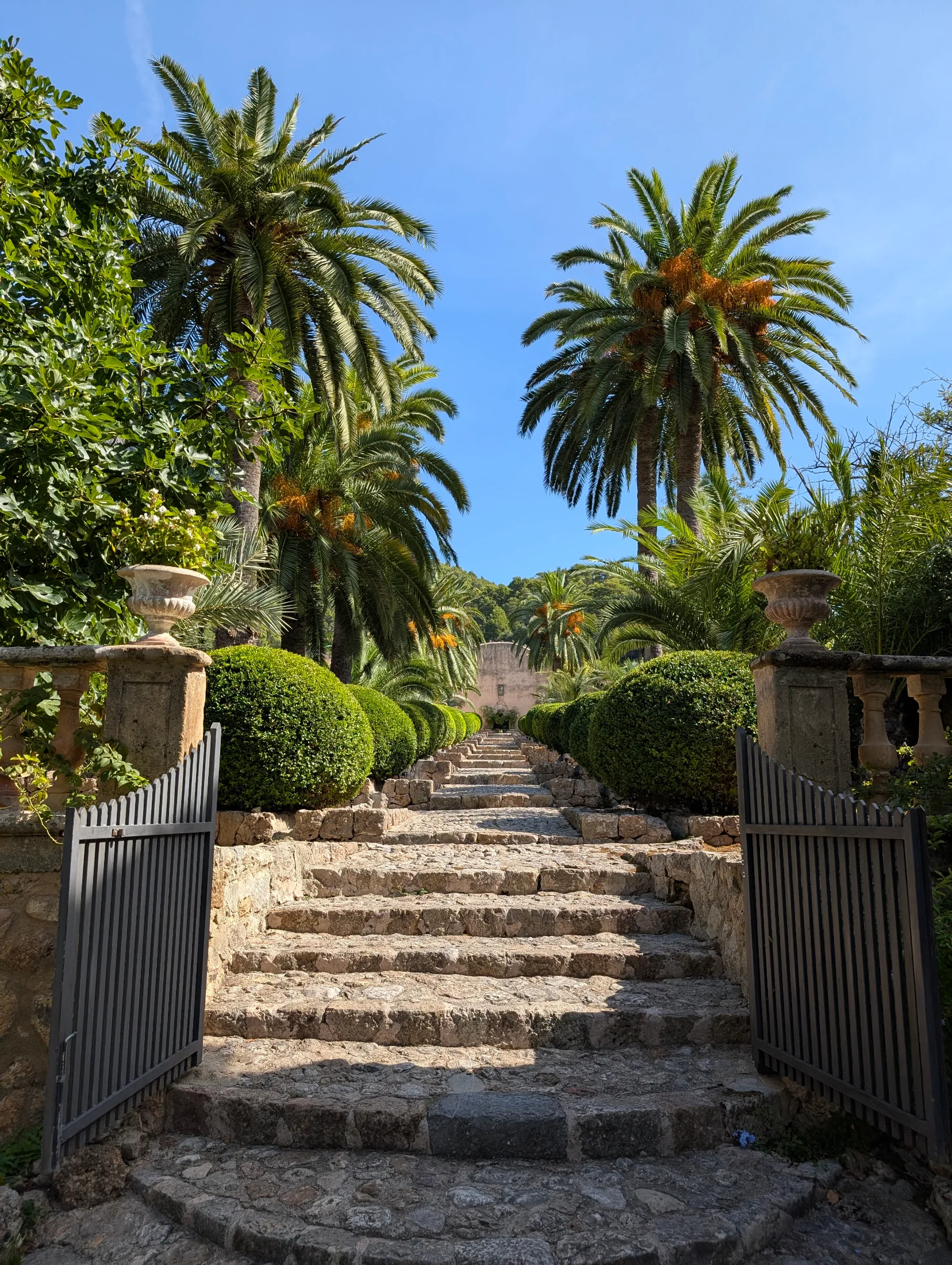 Mallorca_Jardins-d’Alfàbia_01