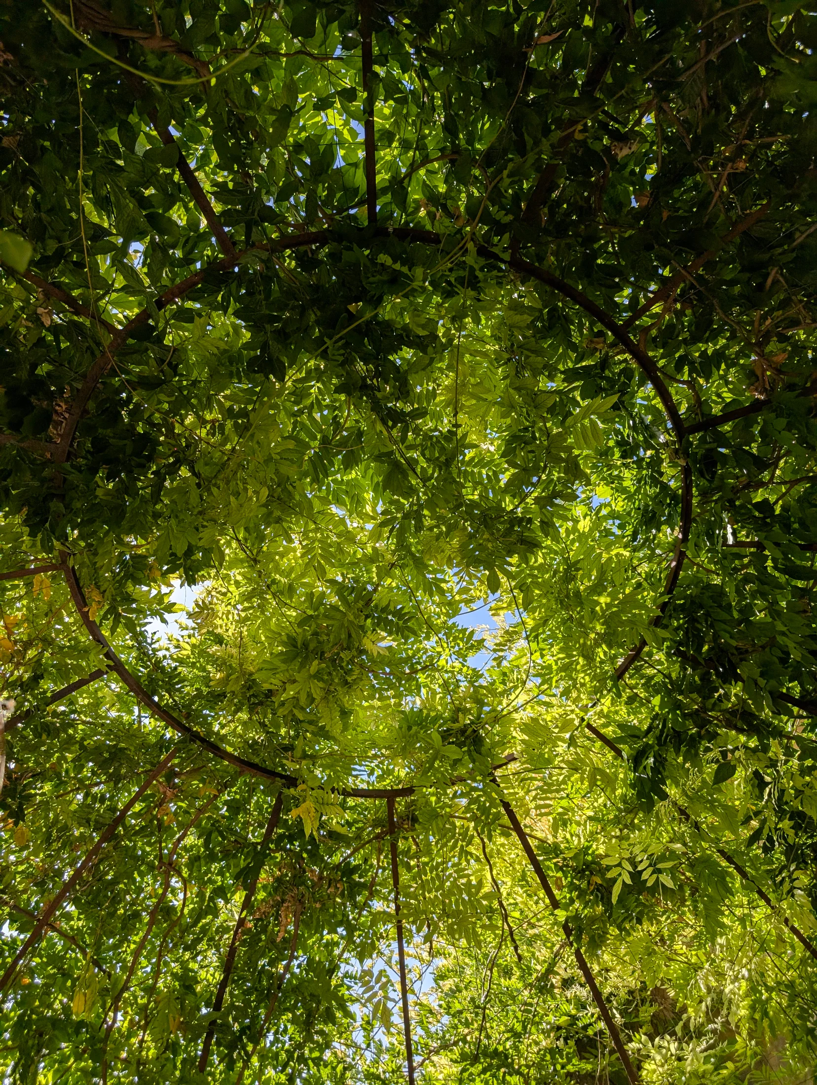 Mallorca_Jardins-d’Alfàbia_03