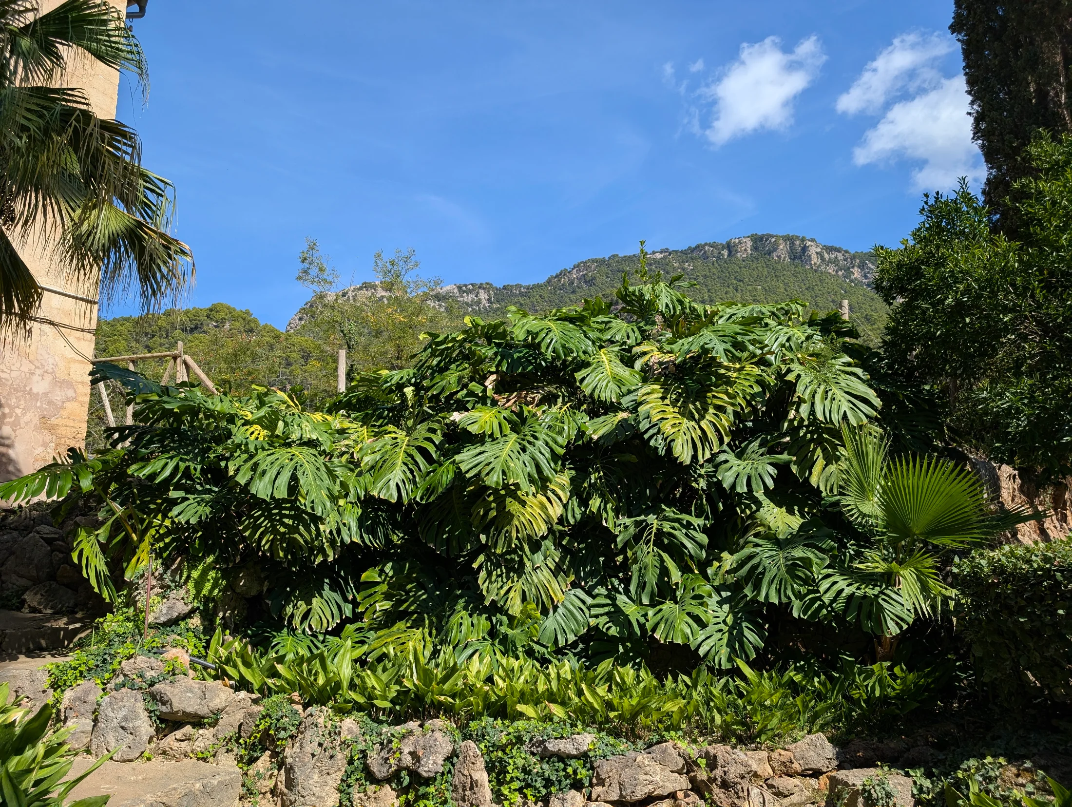 Mallorca_Jardins-d’Alfàbia_04