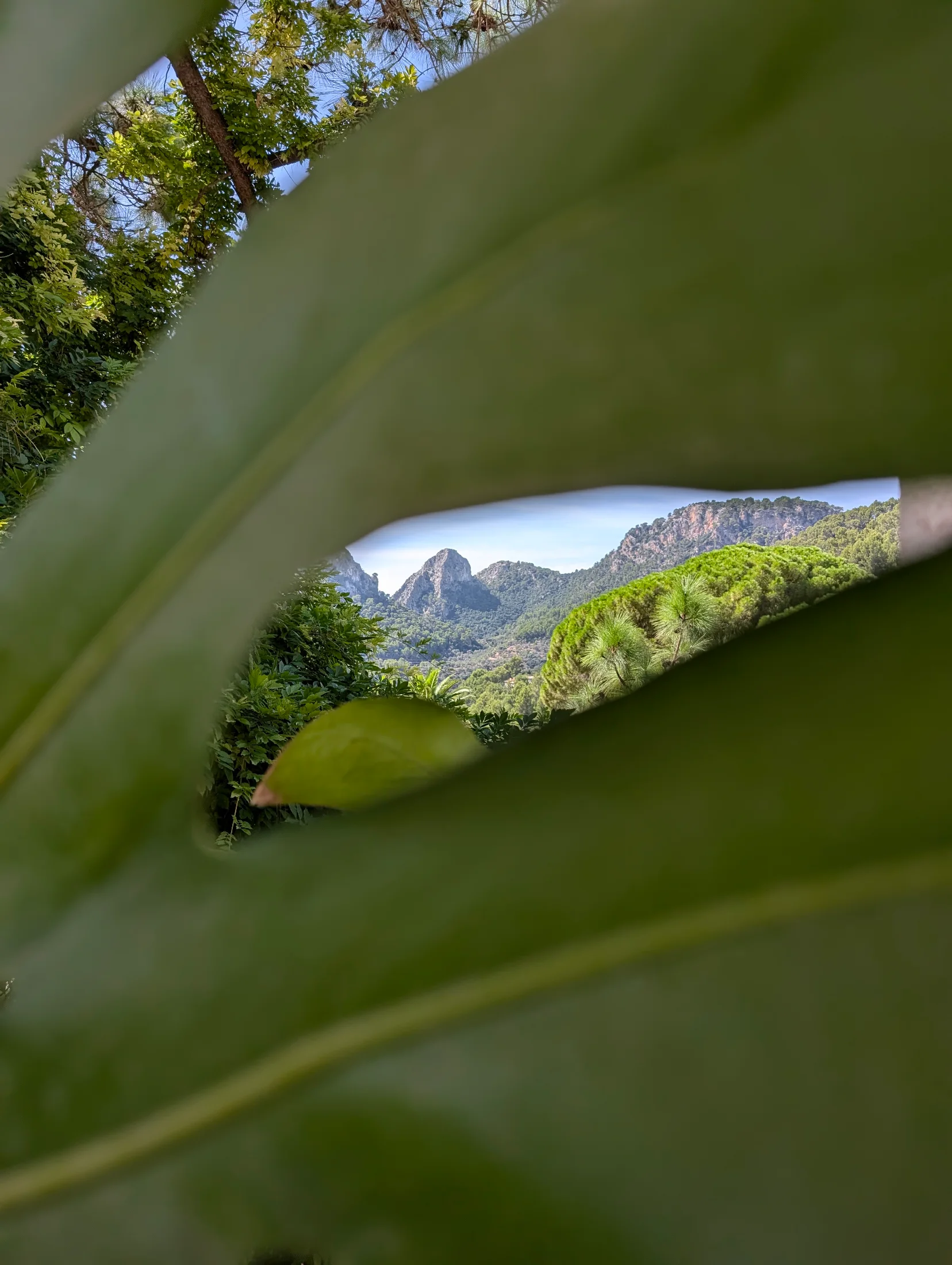 Mallorca_Jardins-d’Alfàbia_05