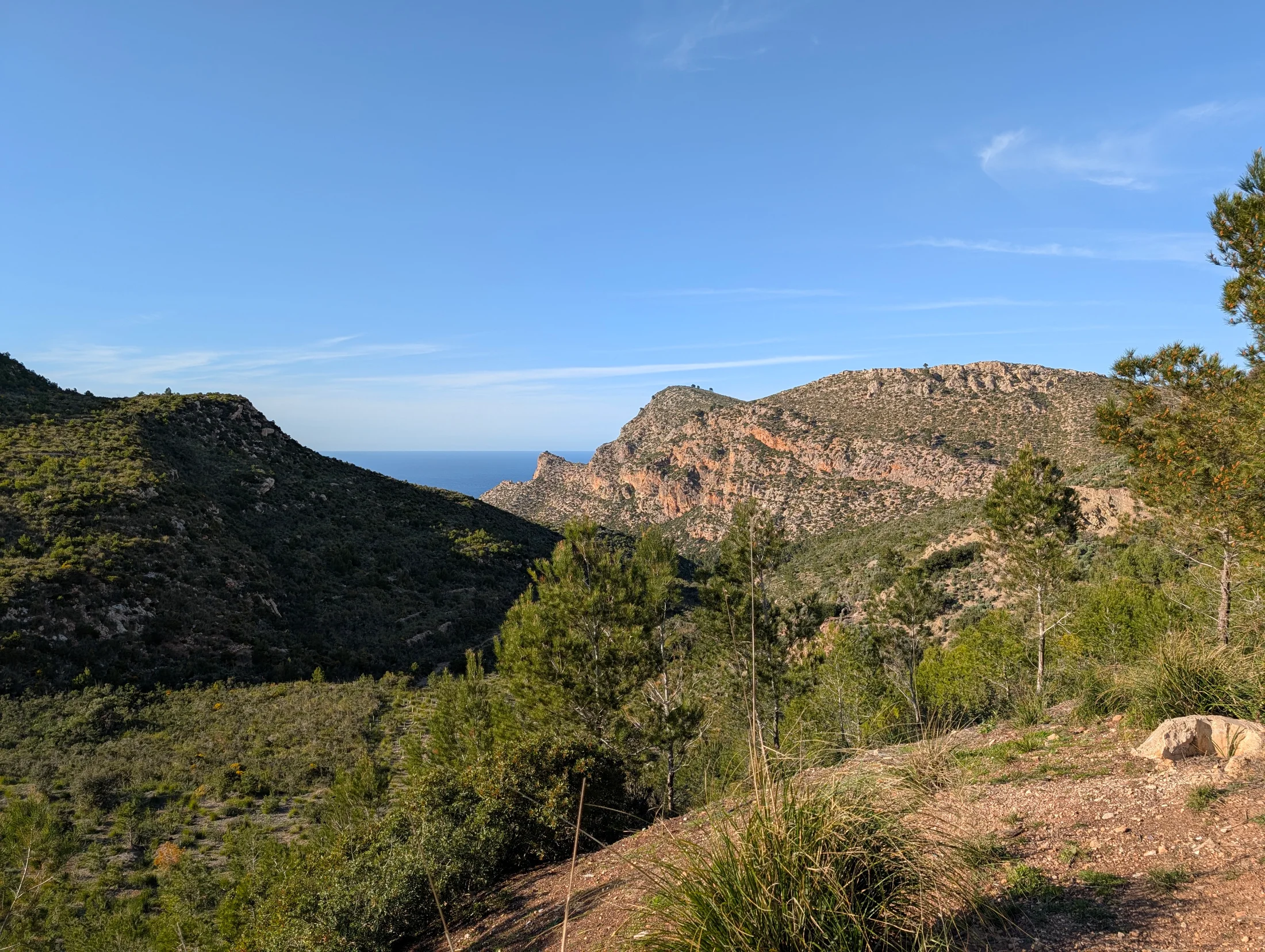 Mallorca_MA10_02
